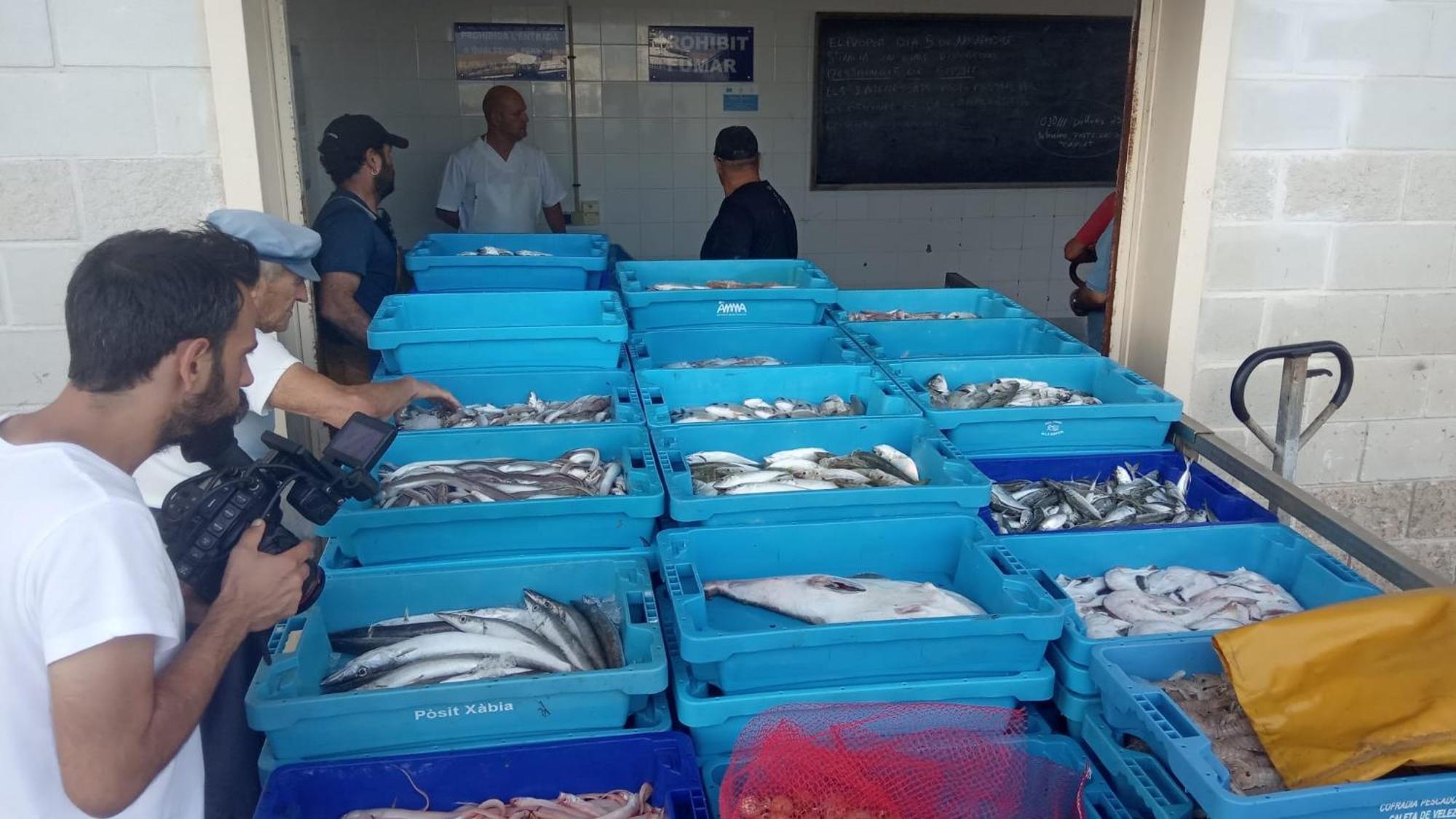 Nautic Lejlighed L'Ametlla de Mar Eksteriør billede